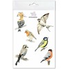 Mama Maluje Lyginamieji lipdukai Birds 2 233x152 mm Mama Paints