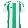 Adidas Striped 24 Jr marškinėliai IW2138