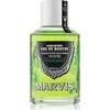 Marvis Spearmint Mouthwash Šaltmėčių skonio burnos skalavimo skystis, 120 ml