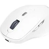 Marvo Pelė WM106W WH pelė, 1600DPI, Bluetooth a 2,4GHz, optinė, 6 klasė, bevielė, balta, įmontuota baterija, biuro, tyli, DUA