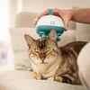 Pet massager "Buddy" Beurer PP410