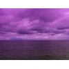 Massa Filtras Pusė filtro Violetinė 46mm