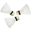 „Master Badminton“ MASTER Fly ledo ritulys 2