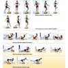 Master Balance Platform fitneso balanso treniruoklis