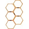 Master Training Kopėčios MASTER Hexa pratimams