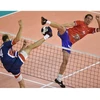 Master Futbolo – tinklinio tinklelis 9,5 x 1 m – juodas (8592833012838)