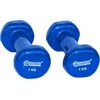 Master Vinilm- dengto ketaus Hantel 1kg x2