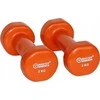 Master Winilm dengtos ketaus Hantel 2kg x2