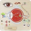 Edukacinė lenta Regos pojūtis Montessori MASTERKIDZ
