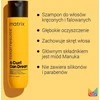 Šampūnas Matrix A Curl Can Dream Šampūnas 300ml