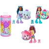 Mattel BARBIE CHELSEA CUTIE REVEAL rinkinukas – Care Bears serija (JGH75)