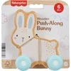 Mattel FISHER-PRICE stumdomas medinis žaislas – Triušiukas (JDM52)