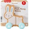 Mattel FISHER-PRICE stumdomas medinis žaislas – Triušiukas (JDM52)