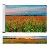 Maximex UV-resistant balcony cover, 500 x 85 cm