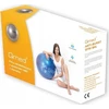 mdh ABS reabilitacinis kamuolys su pompa 45cm
