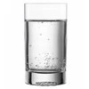 Mentor Stiklinės, 314 ml, „Echo“, 4 vnt.