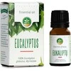 Eukaliptų eterinis aliejus Mėta, 10 ml