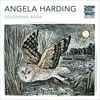 Metalmorphose Angelos Harding spalvinimo knyga