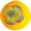 Midex Gniotek Pomidor 8x8 FOL TOYS 0060H MID