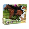 Midex *****Ponis su balsu B1791750 71639