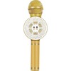 Mikrofonas Vega Auksinis karaoke