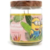 Minions kvapioji žvakė „Sklaidanti laimė“ 510 g