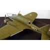 „Mirage PZL37 A Moose Bomber“ (48131)