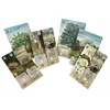 Rebel Forest giveaway: Dartmoor REBEL