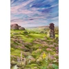 Rebel Forest giveaway: Dartmoor REBEL