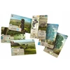 Rebel Forest giveaway: Dartmoor REBEL