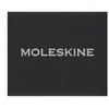 Moleskine Przypinka MOLESKINE V, sidabrinė