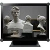 Monitorius AG neovo TX-1502 38.1cm 4:3 10 Point Touch juodas