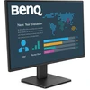 Monitorius BenQ BL2491P