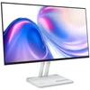 Monitorius Lenovo L24-46 23.8" FHD 165Hz 300 nits HDMI VGA Cloud Pilkas