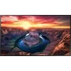 Monitorius Samsung QM43B-T, 43"