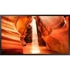 Monitorius SAMSUNG 55" OM55N-DS FHD 3000/1000 NITS 24/7 DUAL-SIDE HIGH BRIGHTNESS SOC WIFI