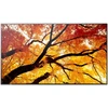 Monitorius Sharp M862 86 colių UHD LFD D-LED – 24/7 550CD SDM CM SLOT