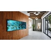 Monitorius Sony 43 colių Pro BRAVIA 400nit DBNG Standard ekranas