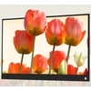 Monitorius ZEUSLAP P15A - 60Hz | Full HD | IPS | 15,6"