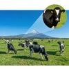 Monokuliariniai žiūronai K&amp;f Concept Nitrogen 12x 50mm 12x50 Tank4 IP65 + Dėklas / Kf33.091