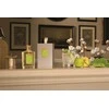 Floris Of London Jermyn Street EDP parfumuotas vanduo unisex, 100 ml