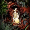 Maison Noir Bohemia 265 EDP parfumuotas vanduo unisex, 100 ml