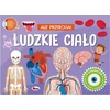 Morex Ale przyroda ludzkie ciało 15482