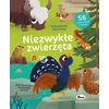 Morex Sound nuotykis Nepaprasti gyvūnai