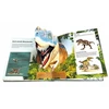 Morex 3D dinozaurų knyga 16182