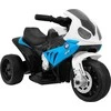Ramiz Motor BMW S1000 RR MINI mėlynos spalvos