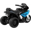 Ramiz Motor BMW S1000 RR MINI mėlynos spalvos