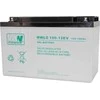 Mpl Power AKUMULIATORIUS 12V/100AH-MWLG MW Power