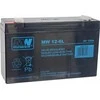 Mw Power MWPower MW 6V 12Ah F2(250) AGM akumuliatorius, 6-9 metai