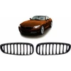 MTuning Single Rib Sports Grilis Gloss Juoda BMW Z4 E89 2009-2016 m.